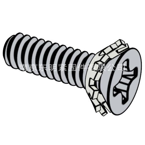 GB/T 9074.9 - 1988 十字槽沉頭螺釘和錐形鎖緊墊圈組合件